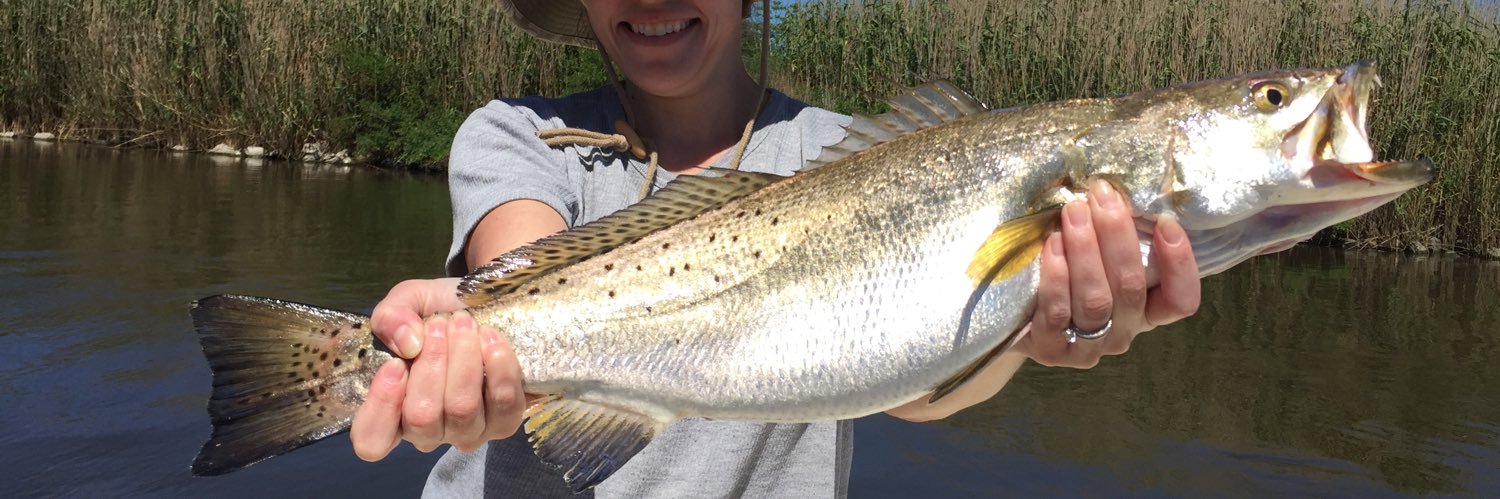 Hackberry Rod & Gun banner