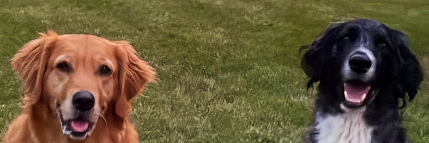 TyJHarris's profile banner image