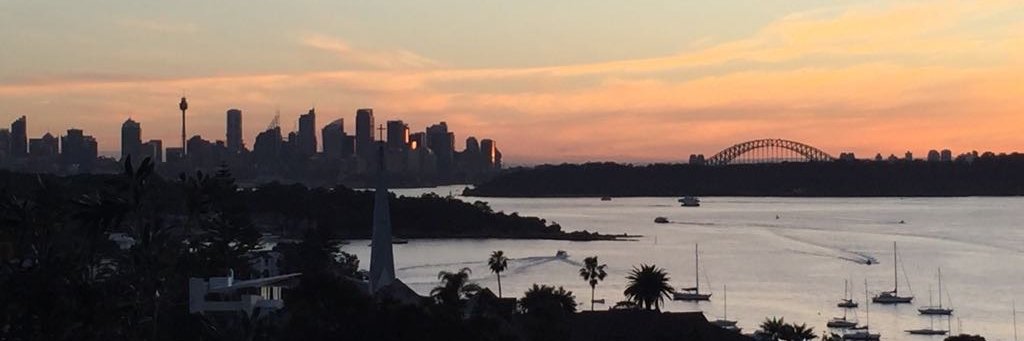 Signy Wegener banner