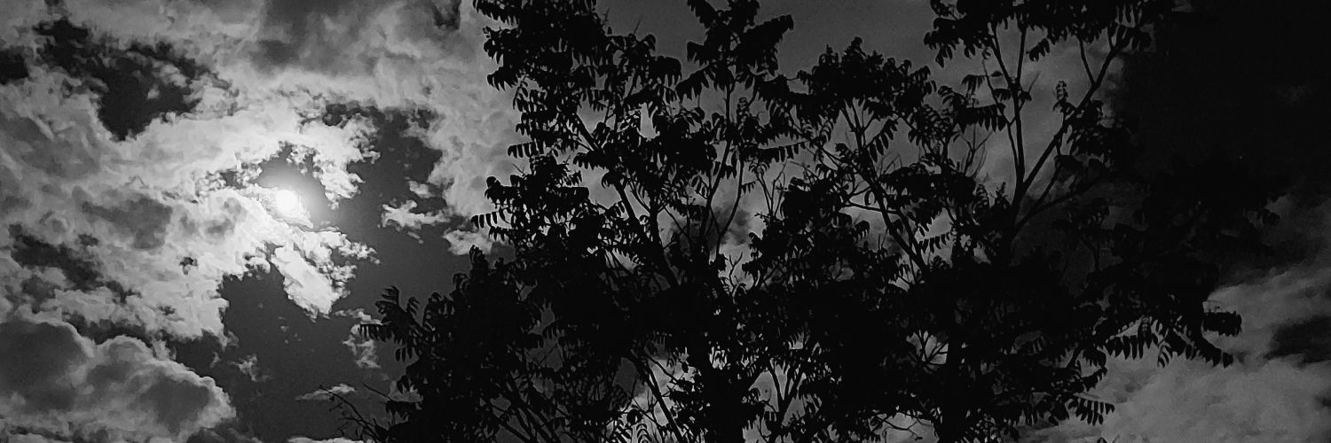 Laurajbg_'s profile banner image
