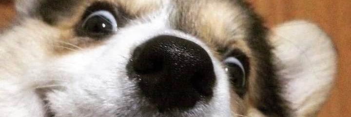 Marcelo__PG's profile banner image