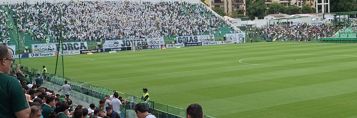 Paulera banner
