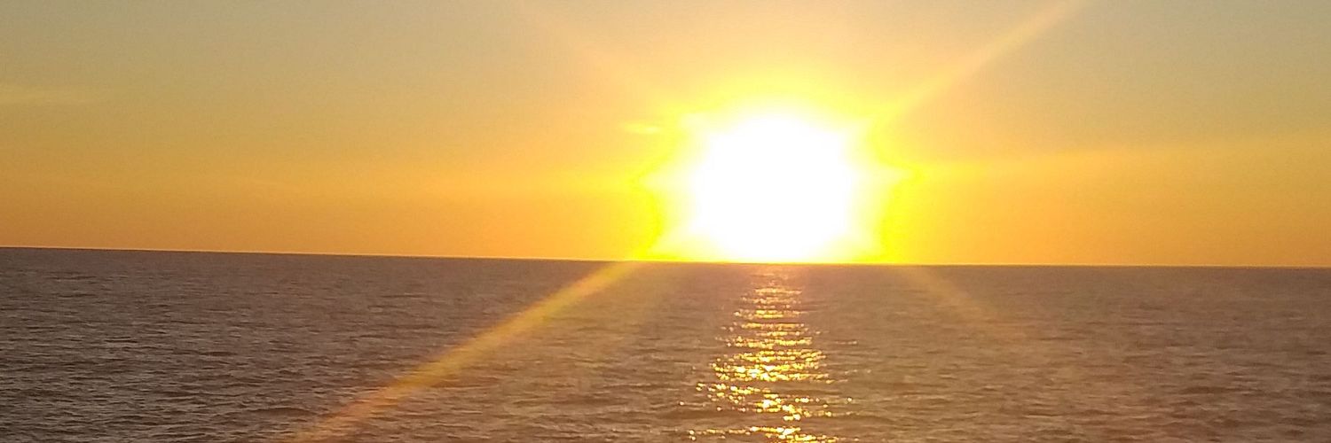 robertocruzitj's profile banner image