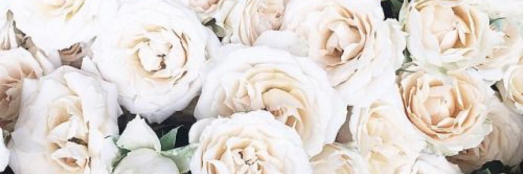 Ms_AlevaDiva's profile banner image