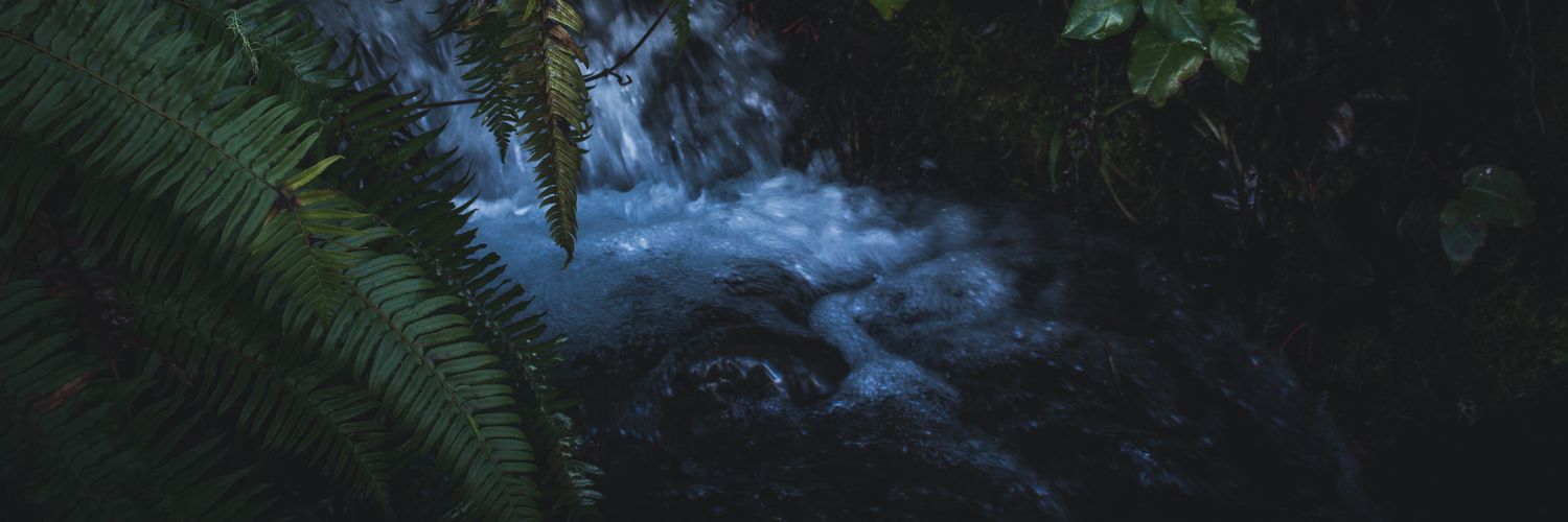RageWolf16's profile banner image