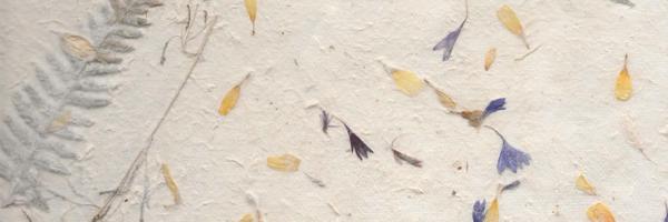 PaperToots Profile Banner