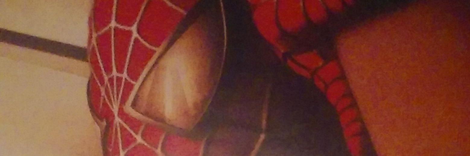 poketeen13's profile banner image