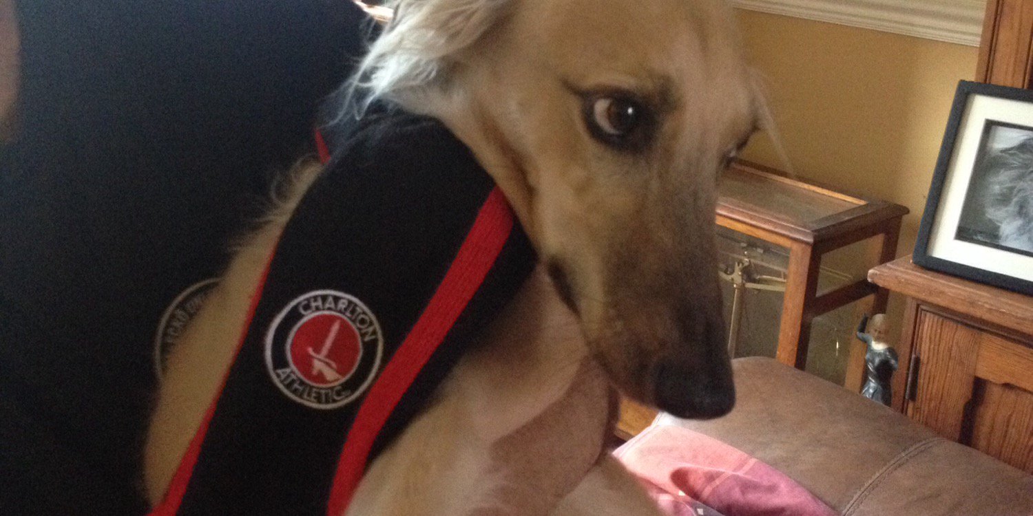 Janice Little banner