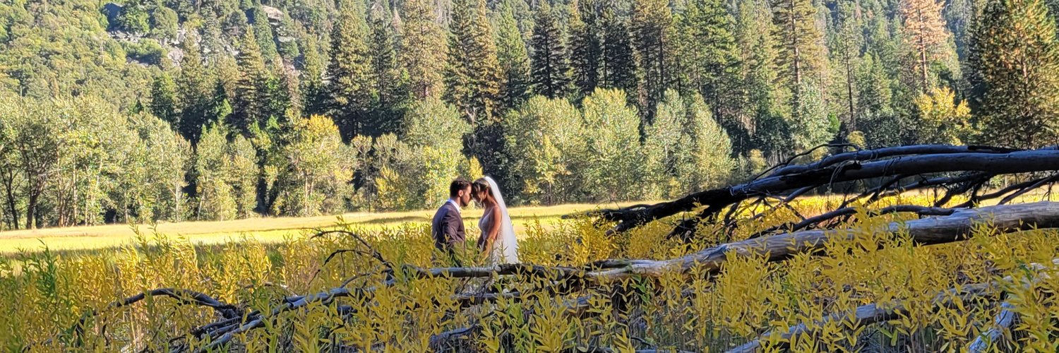 Katie Tarasov banner