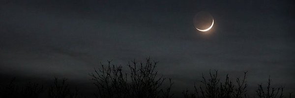doyeeo Profile Banner