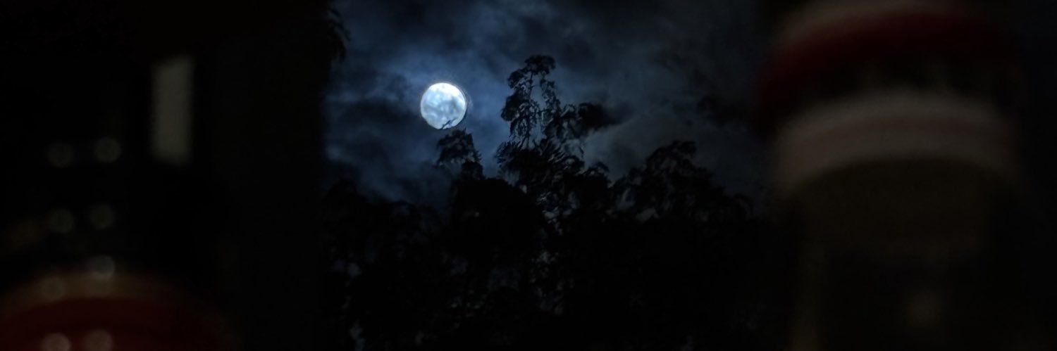 chinitoss_'s profile banner image