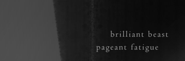 BeastTunes Profile Banner