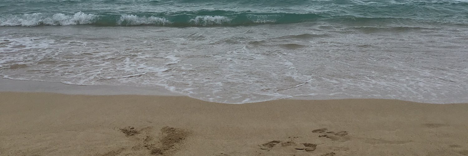MikeJohanson's profile banner image