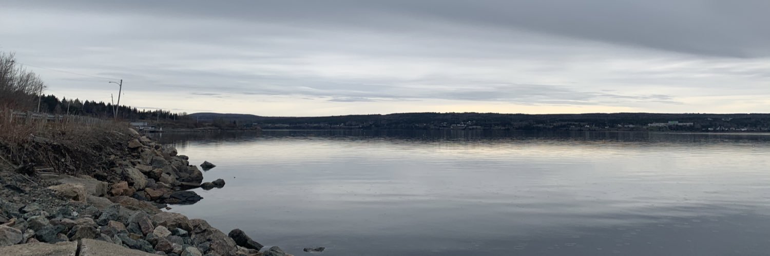 danielleeknott's profile banner image
