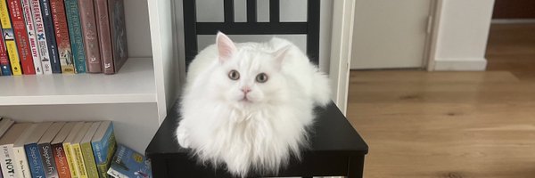 vfnewby Profile Banner