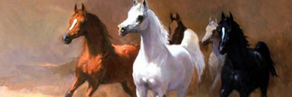 an_alhammad1's profile banner image