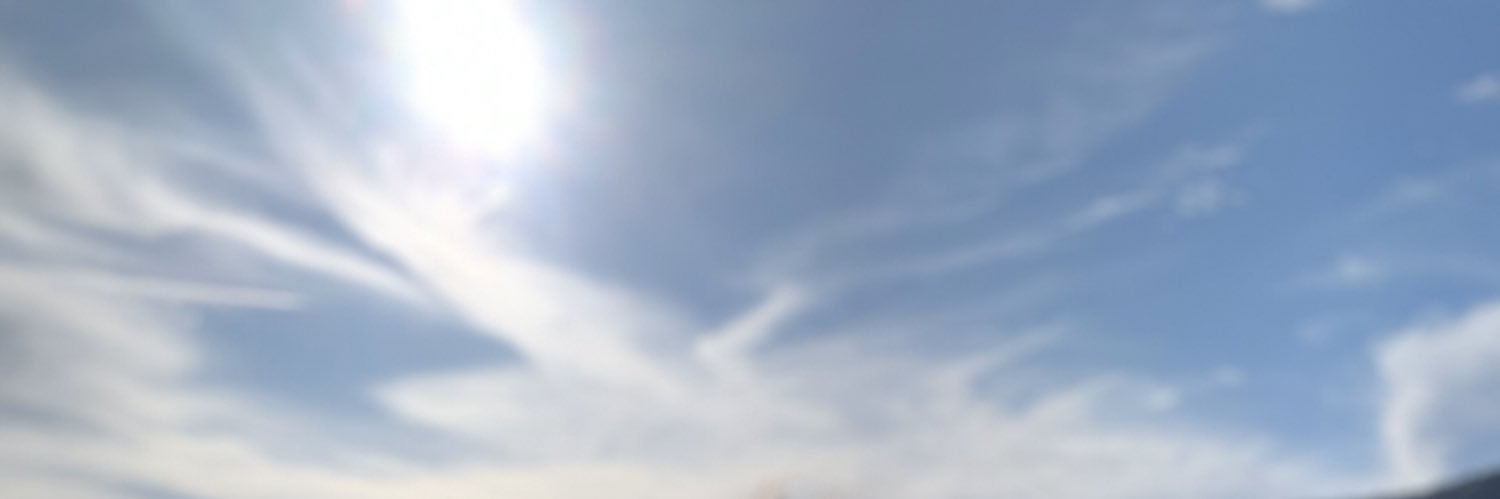 pilarsumm's profile banner image