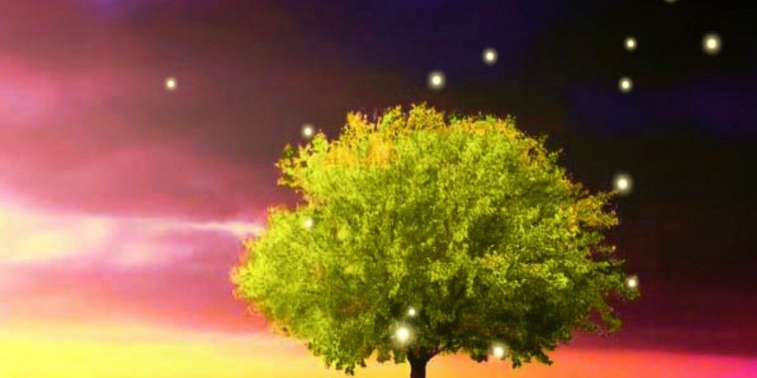 enimofee's profile banner image