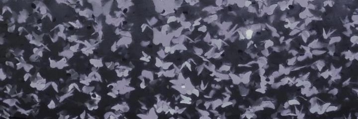 RenaCaride's profile banner image