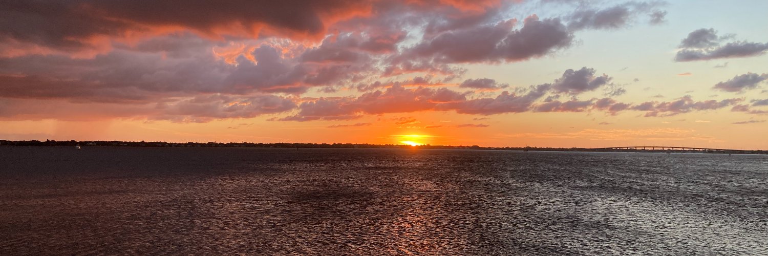 FL Liberty Lover banner
