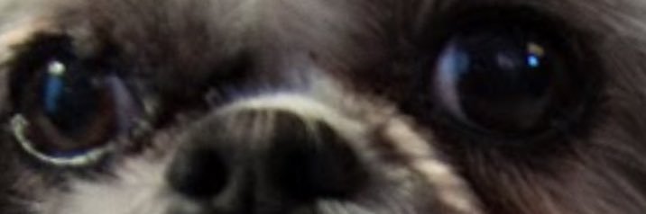 DStekla's profile banner image