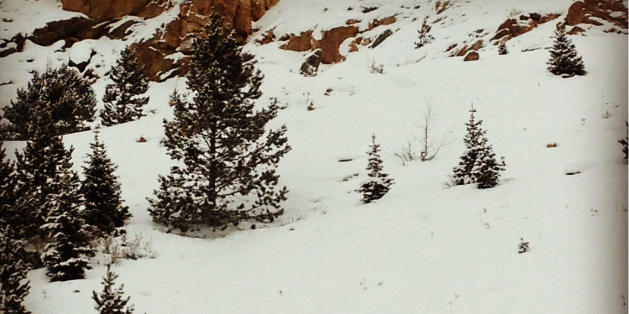 Cataliee's profile banner image