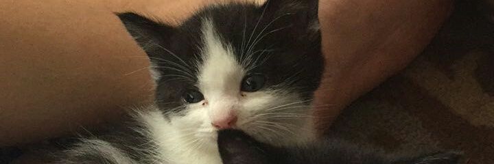 Mary_fraley1's profile banner image