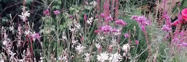 ffjjanssen Profile Banner