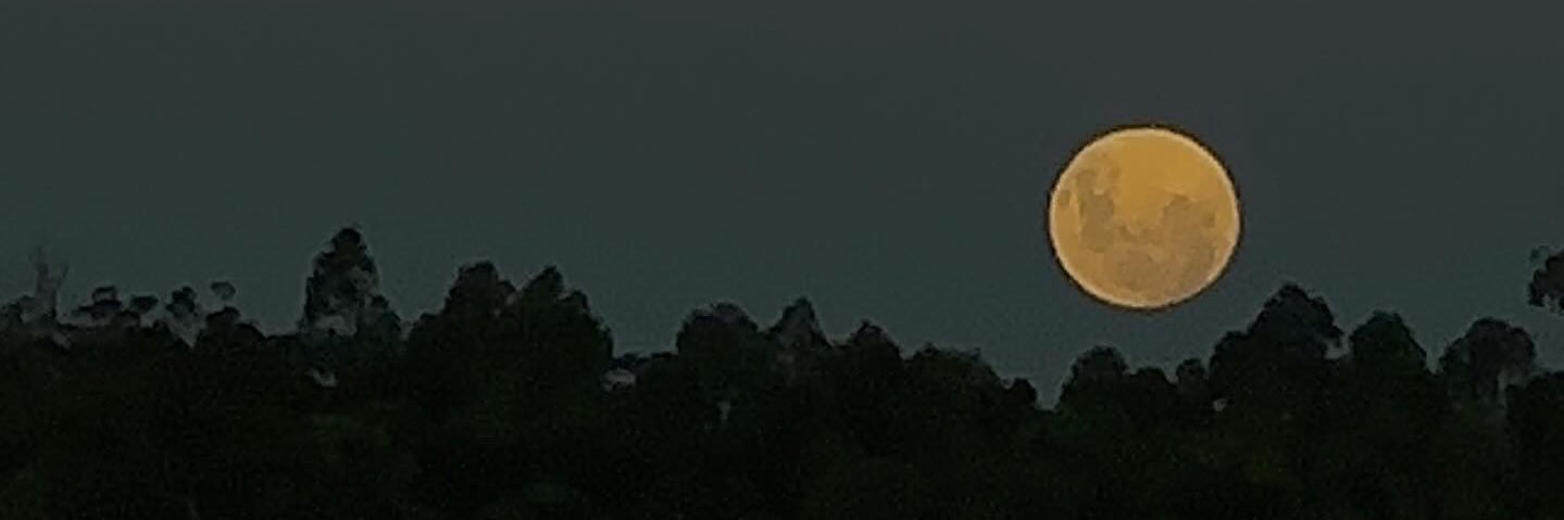 Juliperruibal's profile banner image