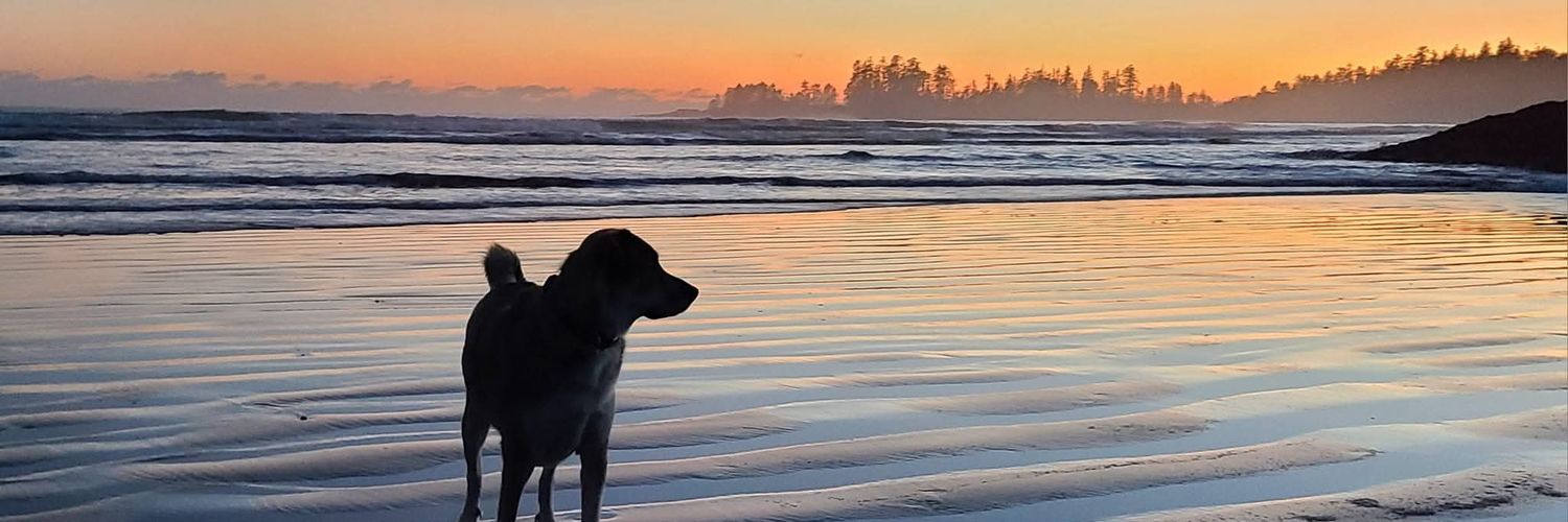 Katie Maximick 🇨🇦 banner