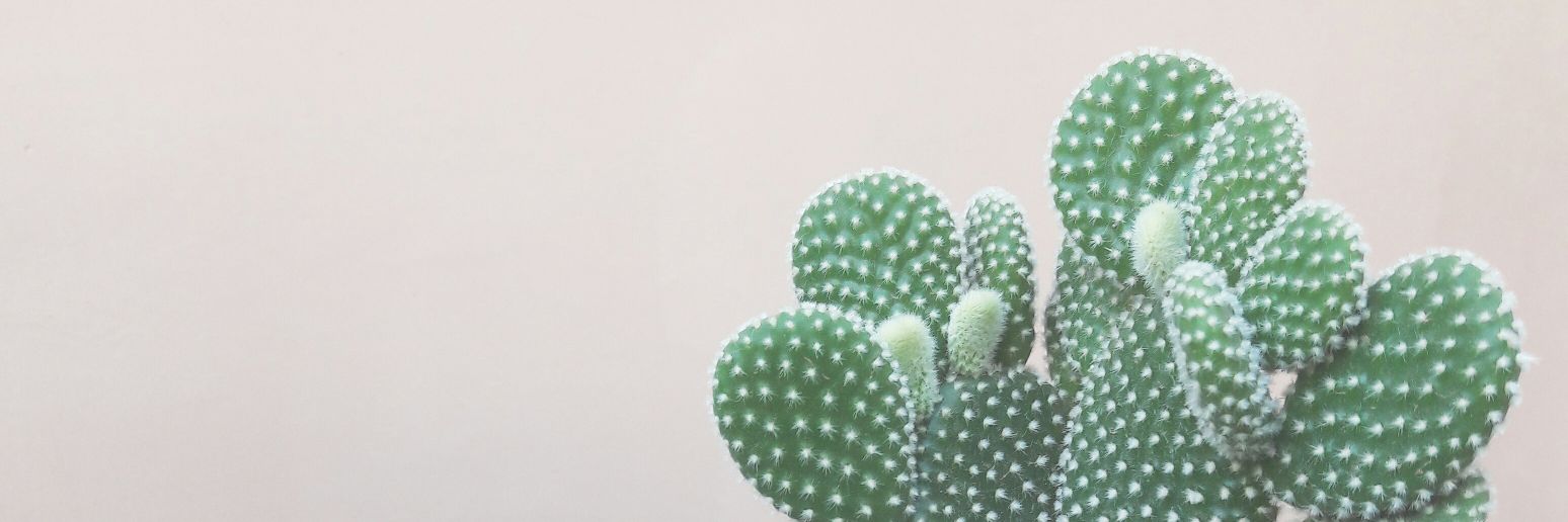 hccvr's profile banner image