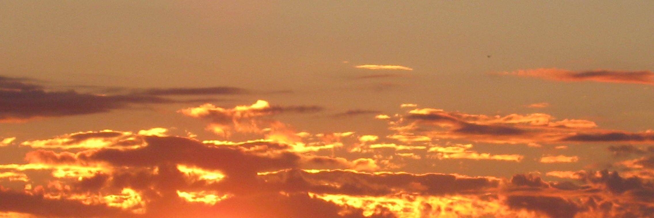 Livucis's profile banner image