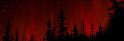 Smiilebaack's profile banner image