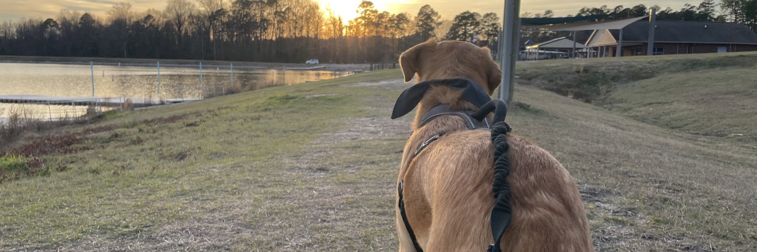 crookedsnaps's profile banner image