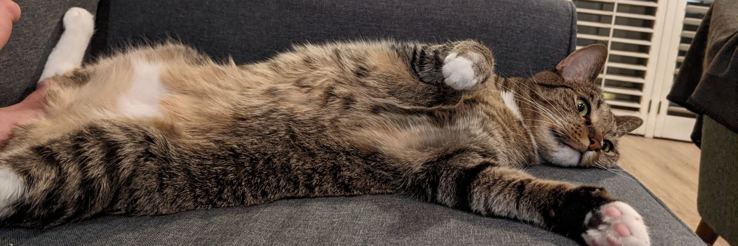 peebun's profile banner image
