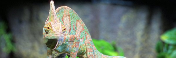 ahen122 Profile Banner