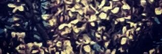 ytdaog's profile banner image
