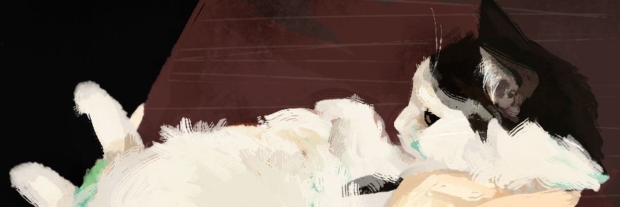 ZoozlePrime's profile banner image