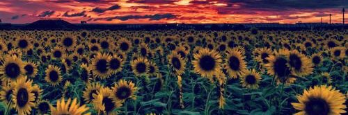 HannahRose5457's profile banner image