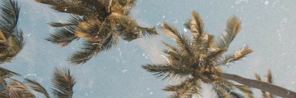 stineau Profile Banner