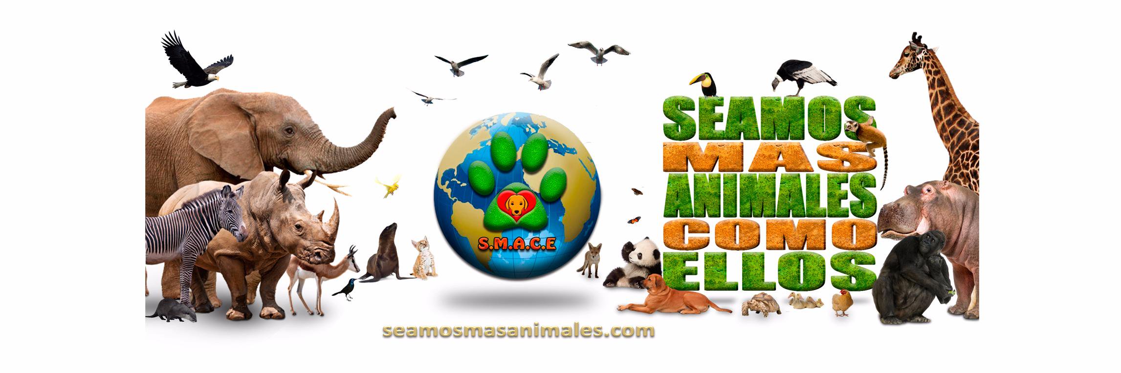 smace_animales's profile banner image