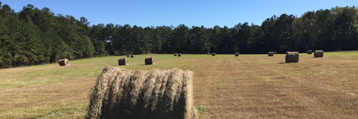 Laurie Funderburk banner