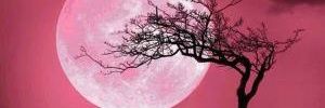luzca76's profile banner image