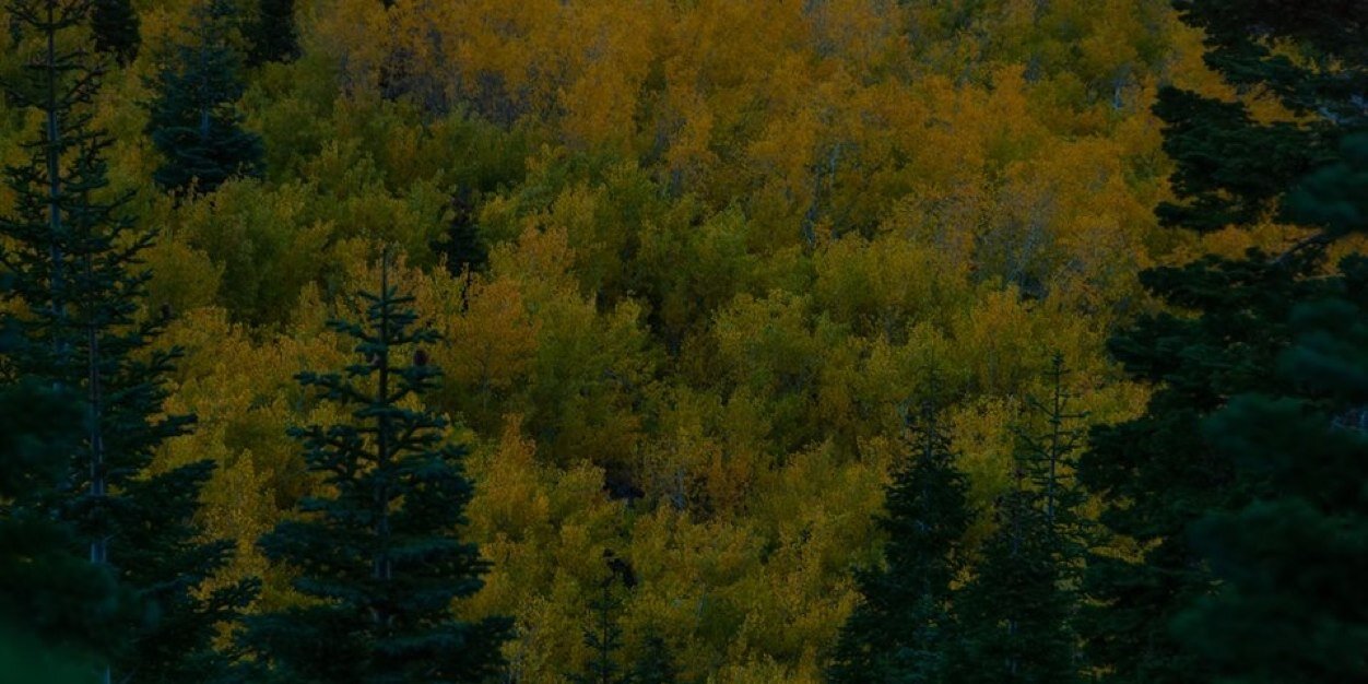 ejherrick's profile banner image