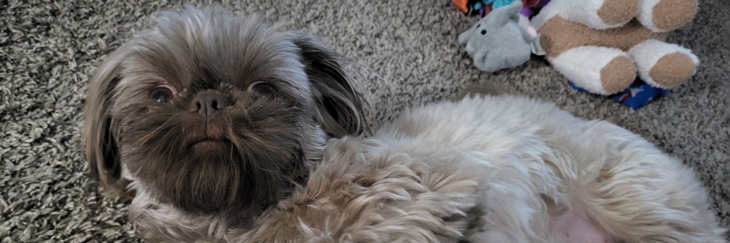 LindsayRush85's profile banner image