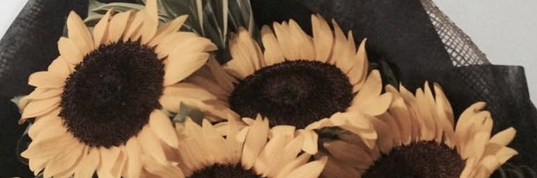 jannynpz's profile banner image