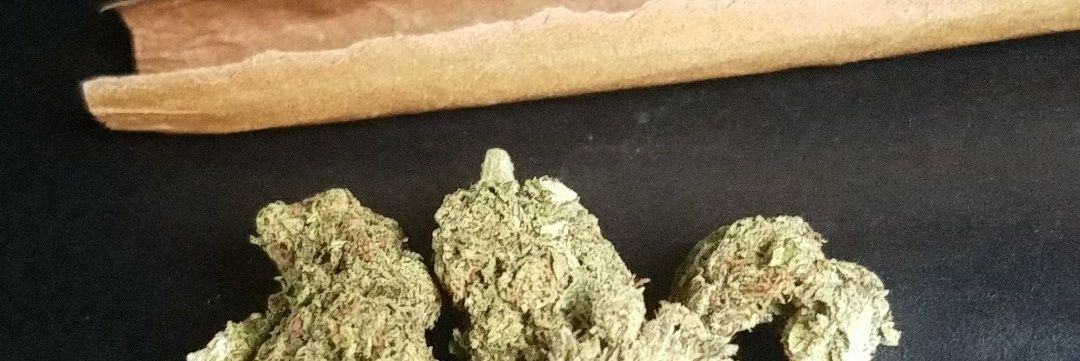 FatSwagg_91's profile banner image