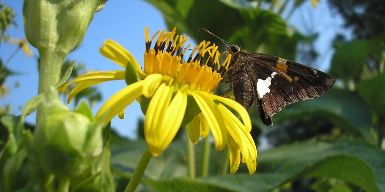 klsnature's profile banner image