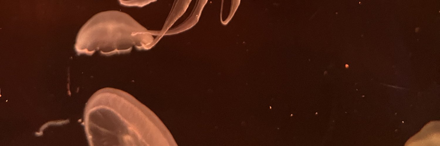 _DontCallMeNice's profile banner image