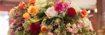 TopRescueMom's profile banner image